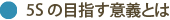 5Sの目指す意義とは