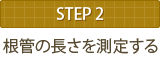 STEP2 根管の長さを測定する